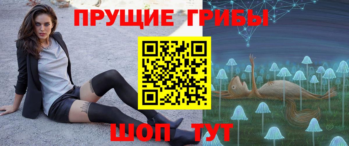 Галлюциногенные грибы Psilocybine cubensis Шарыпово